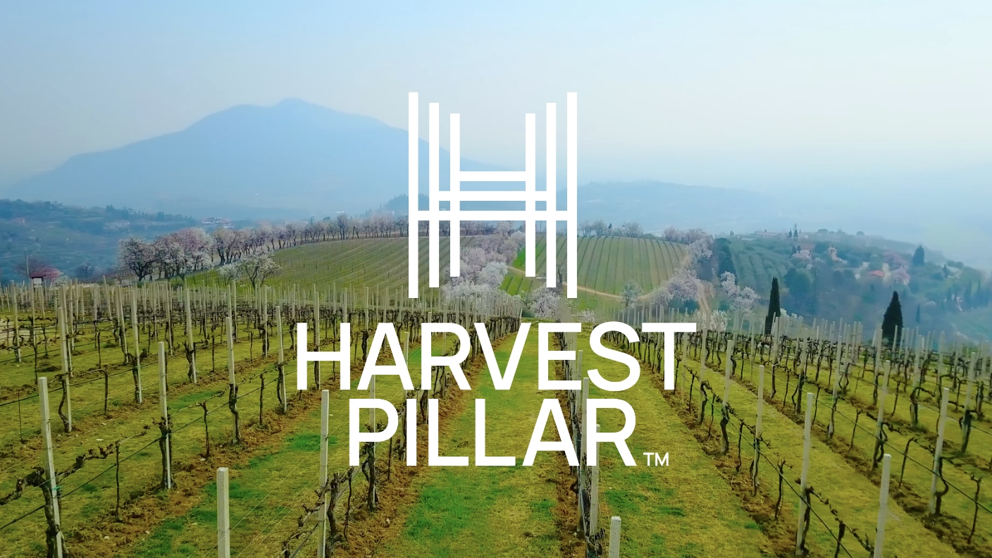 Harvest Pillar Case Study Preview Image